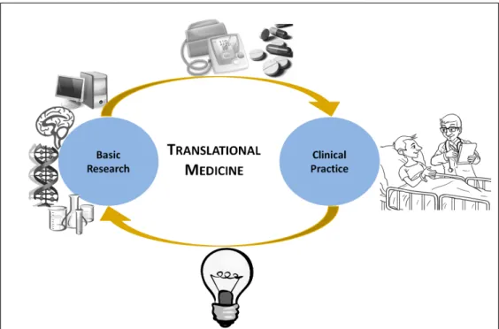 Figure 2.1: Knowledge workflow in translational medicine. Translational medicine improves the knowledge on human diseases by translating basic science research results into new exams, devices and treatments, which are then incorporated into the clinical pr