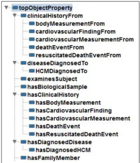 Figure 3.9: Object properties of the module Clinical Evaluation (Part I).