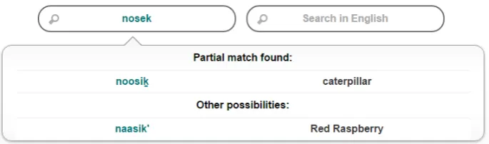 Figure 6: Gitksan-English Online Dictionary returning noosikto user query and naasik’ as possible matches nosek.