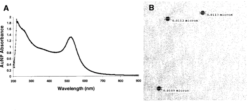 Figure 3.1 Visualization of newly synthesized AuNP 