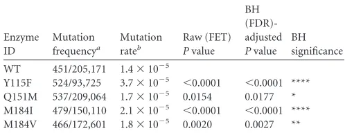 FIG 2 Graphical depiction of the effects of the RT mutants on the frequency of lacZ� mutations and on their distribution into the four classes that are describedin the text