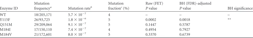 TABLE 6 Comparison of RT mutation frequencies versus WT: class 4 indel mutationsd
