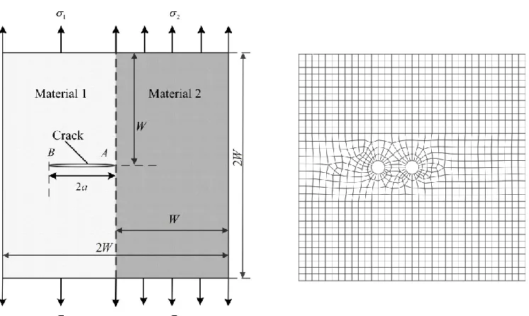 Fig.7 Contours of the stress components in the vicinity of a bimaterial interface crack tip 