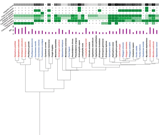 Fig. 1. Coral phylogeny of 88 species, modified from Huang (2012), with colony integration characters thought to indicate thephysiological integration among coral polyps within a colony
