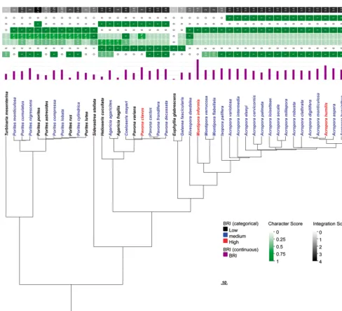 Fig. 1. (continued)
