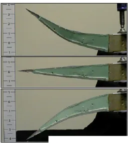 Figure 3: Flexible trailing edge of a wing actuated by SMA wires [3]