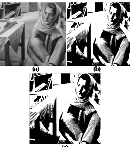 Figure 2: (a) Original Image, (b) Multi-thresholding, (c) Otsu’s thresholding (c)  