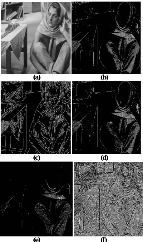 Figure 3: (a) Original Image, (b) Sobel Operator, (c) Canny Operator, (d) Prewitt Operator, (e) Roberts Opertaor, (f) Log Operator 