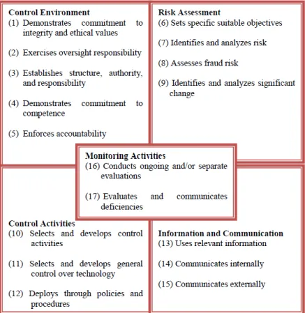 Figure 6.   COSO’s 17 Fundamental Principles  