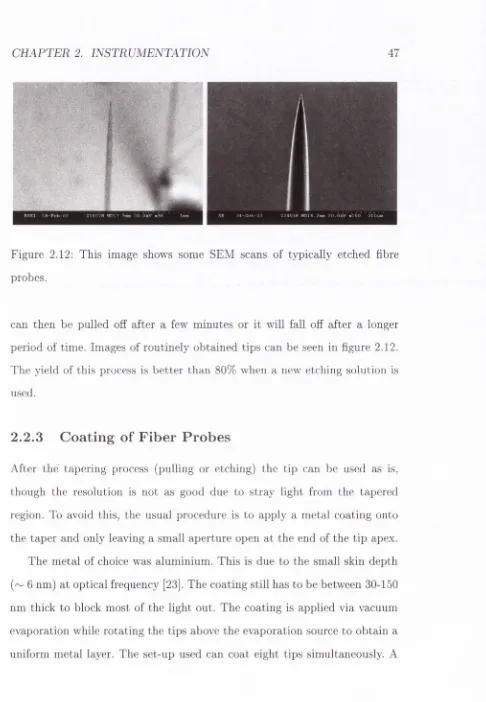 Figure 2.12: This image shows some SEM scans of typically etched fibre 