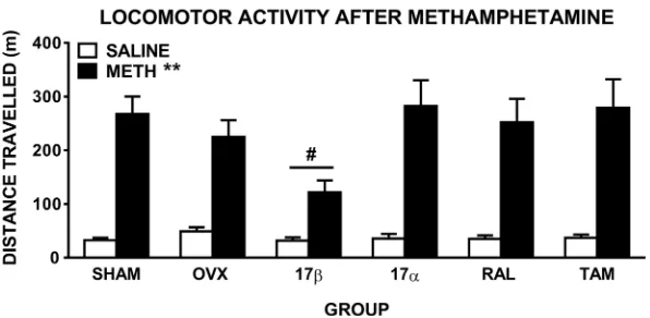 Fig 1. Locomotor activity of female rats displayed as total distance travelled (± SEM) in the 90 min post-administration of methamphetamine (1 mg/kg)