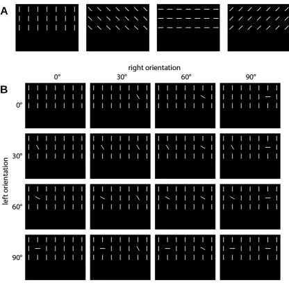 Figure 2. Experimental paradigm for orientation pop-out processing. This ﬁgure de-the background display