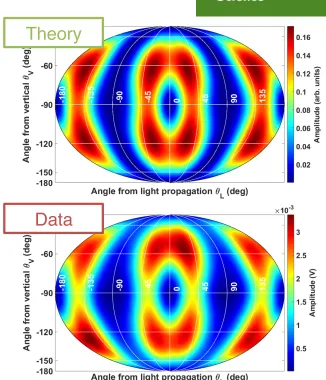 FIG. 3. Calculated (top) and observed (bottom) distribution ofa feature which could be reduced by inclusion of higher-the light propagation (solid angle in response to a ﬁeld modulationon-resonance ﬁrst-harmonic polarimeter signal amplitude over 4 BRF applied parallel toπ) axis.