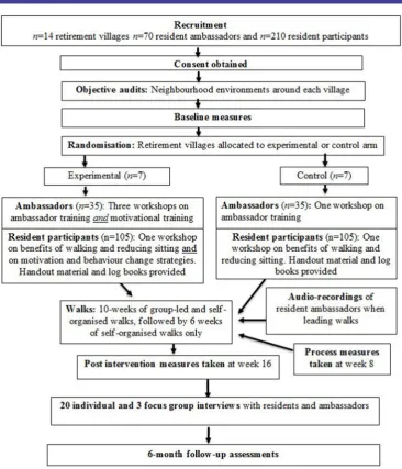 Figure 1 Outline of trial procedures.