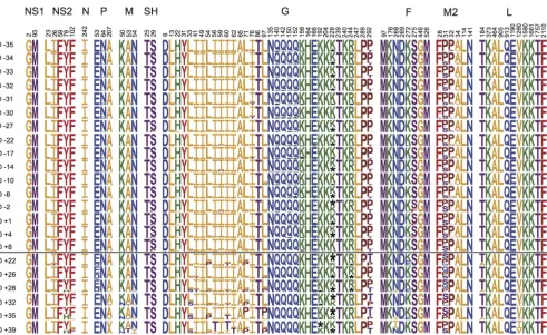 FIG 2 Variable amino acids in the RSV samples. Each sample date is represented by one row