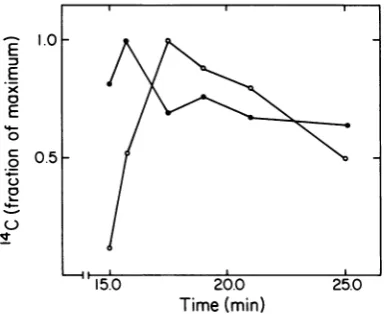 FIG. 2.densitometryAmountsdensitometrybyelectrophoresisintegratedparticlestedFig.amounts(U)1