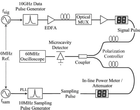 Fig. 7.Experimental setup for optical sampling based on TPA in a semicon-ductor microcavity.