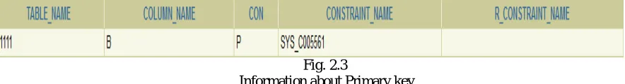 Fig. 2.3  Information about Primary key 