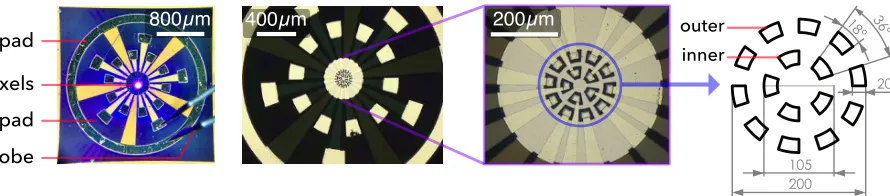 Fig. 1. Plan view micrographs of the segmented micro-LED arrays. The magniﬁed micrographs on the right show the arrayconﬁguration and individual pixel design