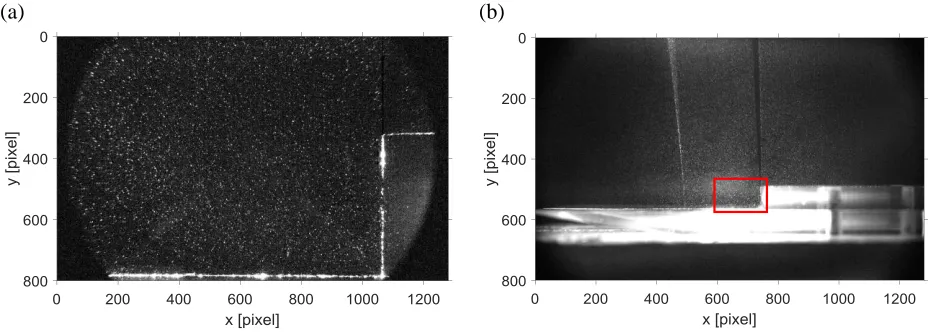 Figure 1. FOVs from present long-range microscope (a) and lens of 135 mm focal length (b)