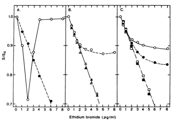 FIG. 7.labeledpronaseconcentrationrelaxedconcentrationsofsingle-strand DNase Effect of ethidium bromide on sedimentation behavior of replicative intermediates