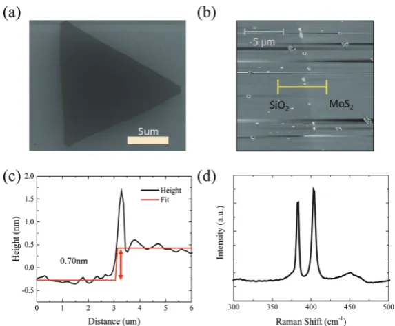 Fig. 1(a) SEM image of CVD-grown MoS2. (b) AFM topography of CVD-grown MoS2. (c) Average line proﬁle along the marked line in (b)