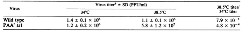TABLE 1. Yield of wild-type virus and PAA' tsl after growth in the presence or absence of 100 ,ug of PAA/Mla