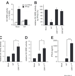 FIG 1 Identiﬁcation of ORF11 as a viral immune modulator that downregulates the IFN-*,Raw264.7 cells (D) were infected with WT or ORF11from our screenings