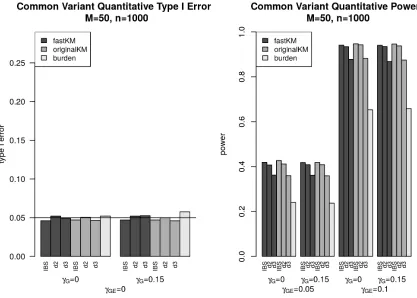 Figure 2.9 Type I error (left panel) and power (right panel) for fastKM, originalKM, and the weighted count-withing burden-based G×E test for common variants with continuous E covariate over varying main effect sizeγG and interaction effect size γG E 