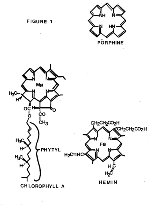 FIGURE 1HN