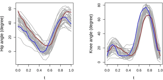 Figure 2.3:Longitudinal measurements of the hip angle (left) and the knee angle (right) ob-tained from 39 children while they go through a single gait cycle.