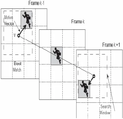 Fig. 2. Motion Estimation 