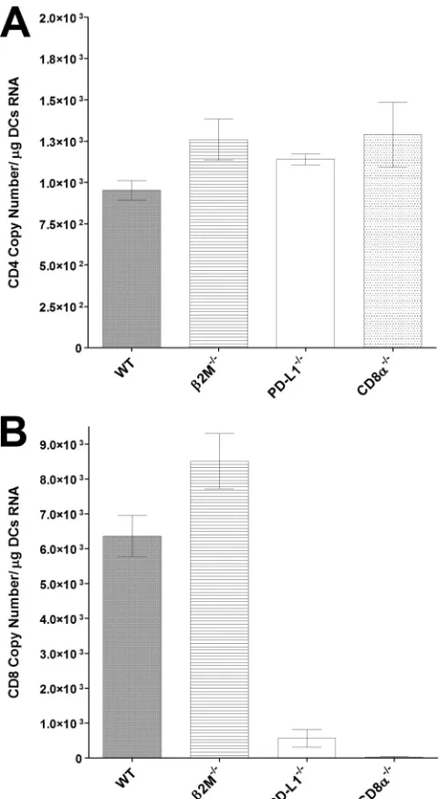 FIG 3 HSV-1 infection of DCs isolated from different strains of mice. Sub-conﬂuent monolayers of BM-derived DCs from WT, �2m�/�, PD-L1�/�, orCD8��/� mice were infected with 1 PFU/cell of LAT(�) or LAT(�) virus for24 h as described in Materials and Methods