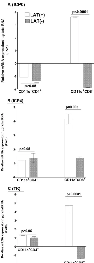 FIG 5 Expression of PD-L1 transcript in CD8mock-infected DCs were fractionated into CD11cCD11ccounterparts