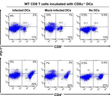 FIG 7 PD-1 expression was not altered in the presence of infected DCs from CD8T cells isolated from WT mice