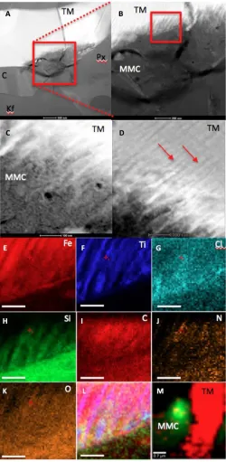 Fig. 2. High-resolution TEM analysis of magnetite and MMC features within the Nakhla meteorite.of the exsolution features from the red box in (B), showing the distribution and asso-ciations between (scale bars, 100 nm)