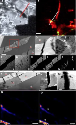 Fig. 3. TEM and hydrogen isotopic analysis of MMC-rich areas in the Tissint meteorite.TM lath in the Tissint meteorite that had previously been confirmed by CRIS to contain MMC