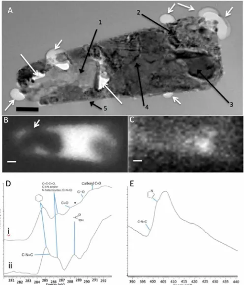 Fig. 4. TEM imaging and soft transmission x-ray analysis of MMC within an inclusion of the Tissint meteorite