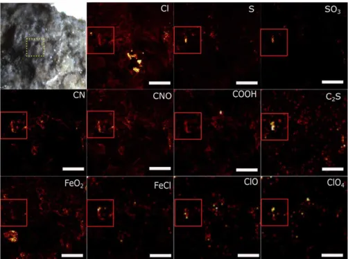 Fig. 5. ToF-SIMS analysis of fresh fracture surface of the Tissint meteorite. The iron-, and sulfur-containing species that are labeled in the top right of the remaining images