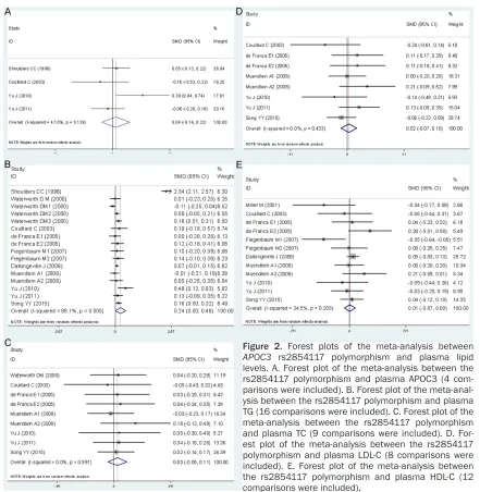 Figure 2. Forest plots of the meta-analysis between APOC3 rs2854117 polymorphism and plasma lipid levels