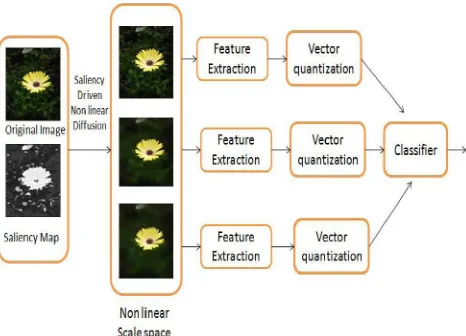 Fig. 3. The framework of the multi-scale representation for image classification   