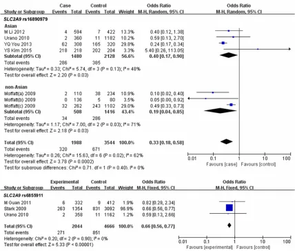 Figure 2. Forest plots for the meta-analyses of four polymorphisms.