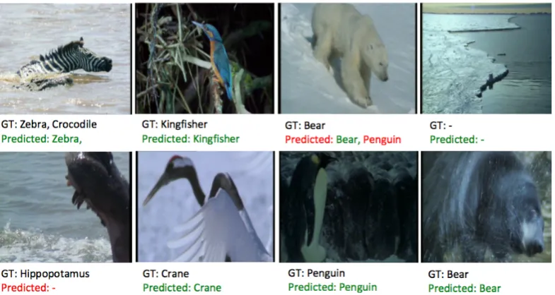 Figure 4: Some sample outputs from our system. ‘GT’ indicates ground truth, ‘Predicted’ indicates thepredictions of the system.