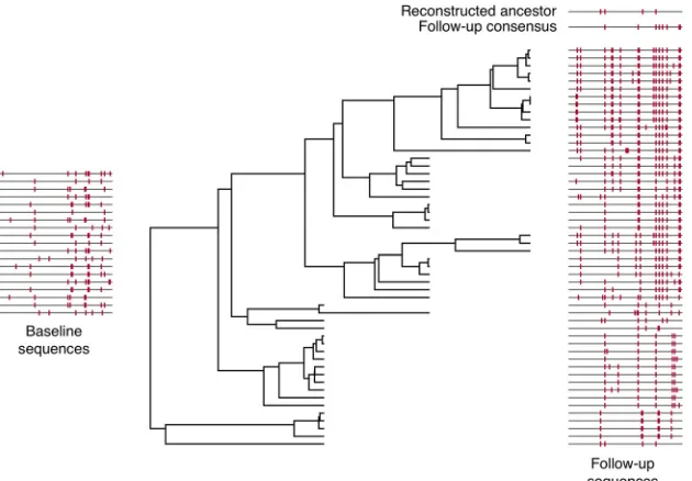 FIG 1 Illustration of ancestral reconstruction process. This ﬁgure summarizes the genetic composition and ancestral reconstruction for a representative data setthat were sampled at three time points after baseline