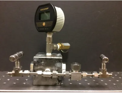 Figure 16: NPT Sight Windows 