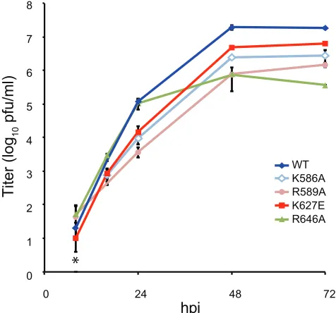 FIG 6 Species-speciﬁc restriction of basic face mutant virus replication inhuman cells