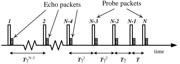 Figure 3-6. Exponentially spaced probing packets with back-to-back echo packets 