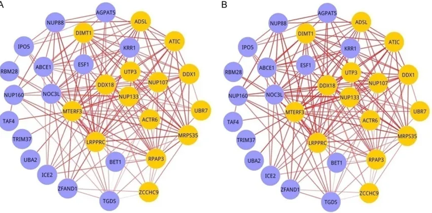 Figure 1. M-modules in child burn injury group with different stages. Yellow circles indicated the seed genes and purple circles indicated un-seed genes