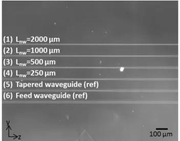 Fig. 1: (a) A cross-section of the nanowire structure coated with thin metal layer. The rib-shaped nanowire has non-vertical sidewalls
