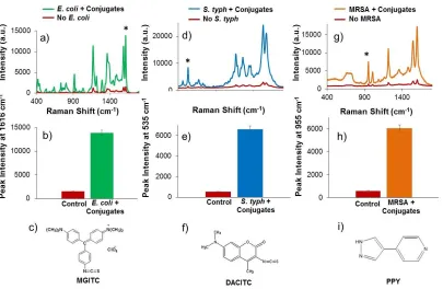 Figure 1. Schematic illustrating the single-plex and multiplex detection assay. Assay format: a) lectin (Con A) functionalised silver coated to collect